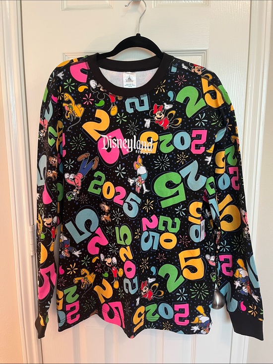 Disneyland Resort Tops - NWT Disneyland Resort Character 2025 Sweatshirt